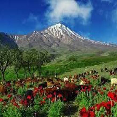 علی آسیایی  مادر 
